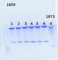 Thumbnail for version as of 12:39, 28 October 2013