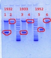Thumbnail for version as of 11:49, 13 December 2013