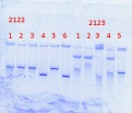 Thumbnail for version as of 16:08, 11 April 2014