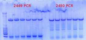 RTENOTITLE