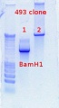Thumbnail for version as of 14:06, 2 December 2011