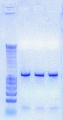 Thumbnail for version as of 17:10, 10 July 2011