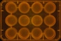 Thumbnail for version as of 11:46, 28 December 2011
