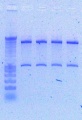 Thumbnail for version as of 19:10, 6 May 2011