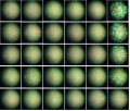 Thumbnail for version as of 15:01, 22 April 2016