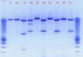 Thumbnail for version as of 13:14, 27 October 2010