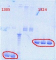 Thumbnail for version as of 09:42, 14 August 2012