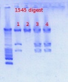 Thumbnail for version as of 13:44, 4 February 2013