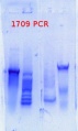 Thumbnail for version as of 10:34, 7 June 2013