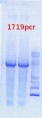 Thumbnail for version as of 13:04, 10 July 2013