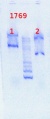 Thumbnail for version as of 14:05, 17 June 2013