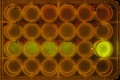 Thumbnail for version as of 18:13, 10 August 2014