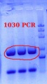 Thumbnail for version as of 10:04, 12 April 2012