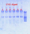 Thumbnail for version as of 14:58, 20 March 2013
