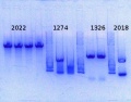 Thumbnail for version as of 15:32, 17 January 2014