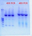 Thumbnail for version as of 15:56, 21 December 2011