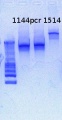 Thumbnail for version as of 15:12, 8 March 2013