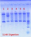 Thumbnail for version as of 12:46, 20 July 2012