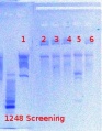Thumbnail for version as of 15:20, 16 July 2012