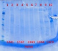 Thumbnail for version as of 15:26, 16 November 2012