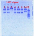 Thumbnail for version as of 13:44, 15 February 2013