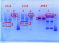 Thumbnail for version as of 11:21, 4 February 2014