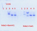 Thumbnail for version as of 14:14, 7 May 2014
