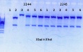 Thumbnail for version as of 15:33, 7 July 2014