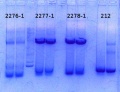 Thumbnail for version as of 12:52, 22 August 2014
