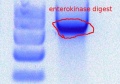 Thumbnail for version as of 10:00, 27 September 2011