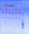 Thumbnail for version as of 12:52, 29 May 2013