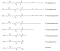Thumbnail for version as of 15:45, 19 September 2014
