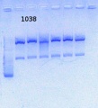 Thumbnail for version as of 12:47, 3 October 2014