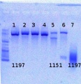 Thumbnail for version as of 13:07, 19 June 2012