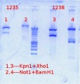 Thumbnail for version as of 13:31, 26 June 2012