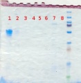 Thumbnail for version as of 11:33, 21 December 2012