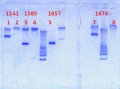Thumbnail for version as of 16:29, 27 February 2013