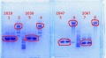 Thumbnail for version as of 15:03, 7 February 2014