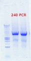 Thumbnail for version as of 09:17, 12 October 2012