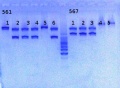 Thumbnail for version as of 14:01, 16 May 2013