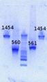 Thumbnail for version as of 16:45, 30 April 2013