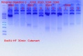 Thumbnail for version as of 16:24, 4 September 2018