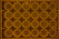 Thumbnail for version as of 11:18, 1 July 2016