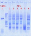 Thumbnail for version as of 14:27, 19 April 2012