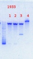 Thumbnail for version as of 15:41, 17 December 2013