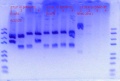 Thumbnail for version as of 21:41, 22 April 2020