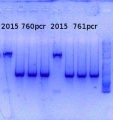 Thumbnail for version as of 13:50, 8 January 2015