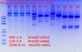 Thumbnail for version as of 13:20, 1 August 2018