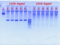 Thumbnail for version as of 16:24, 15 February 2012