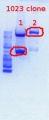 Thumbnail for version as of 15:44, 13 June 2012